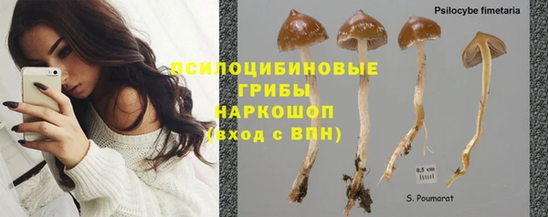 дурь Белокуриха