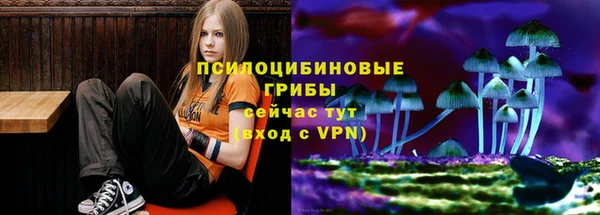 дурь Белокуриха